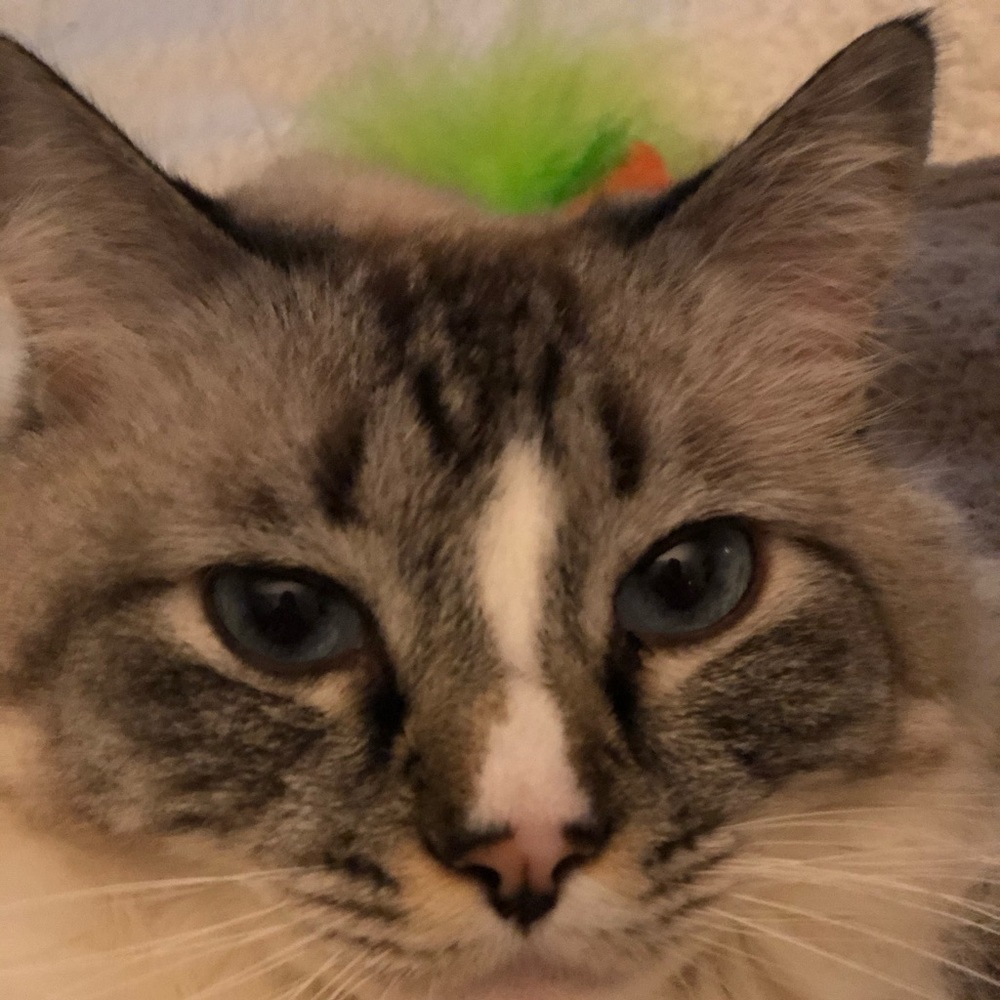 Meet your Posher, Christine